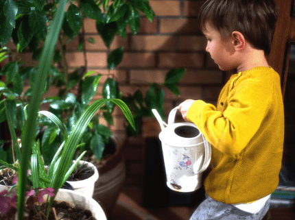 List of Child-Friendly Plants + Plant Care Sequencing Cards