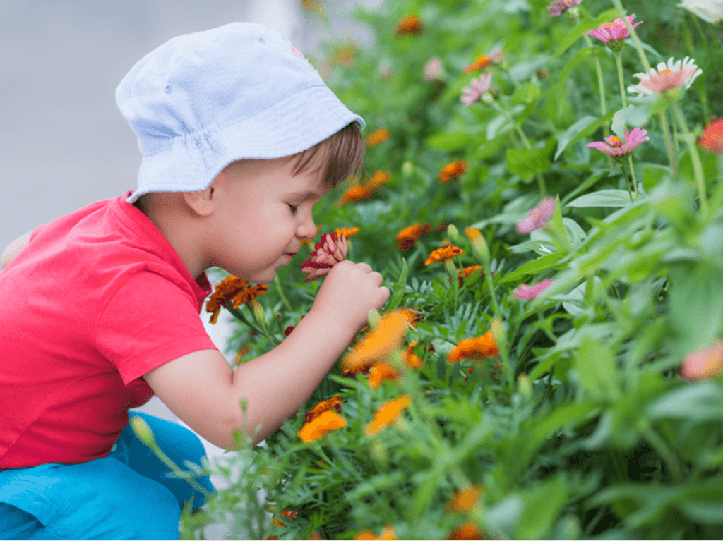 My Favourite Montessori Summer Activity