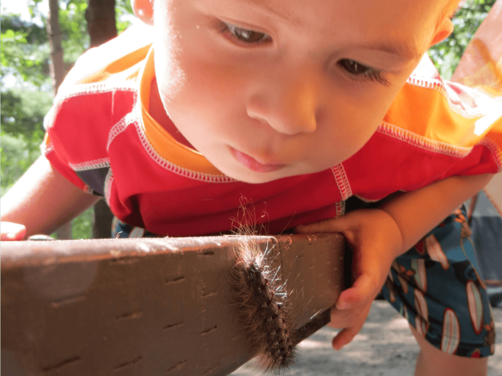 Snowflake Matching - An activity to satisfy Montessori's Sensitive Period for Small Objects | The Montessori Room