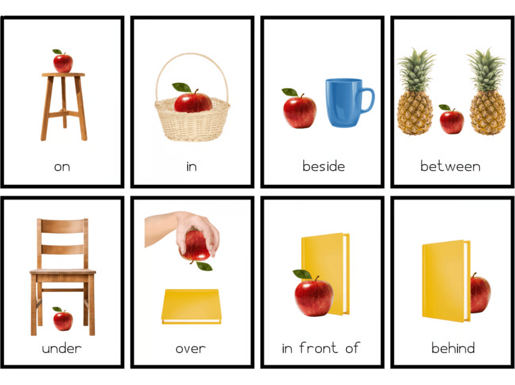 The Fun Way That Prepositions Are Taught in A Montessori Classroom + FREE Printables