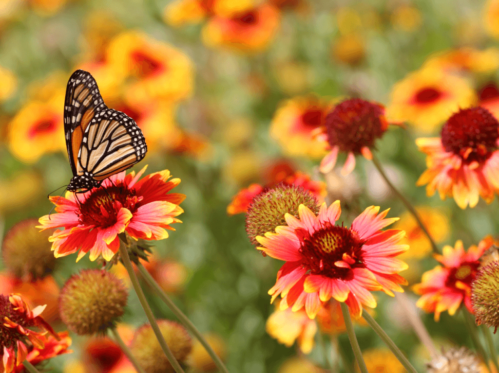 We've Got TONS of New Spring Printables - All FREE