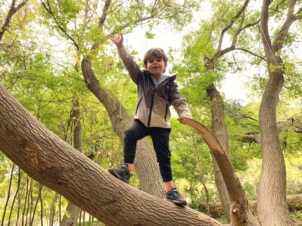 Why Risky Play is Important | The Montessori Room