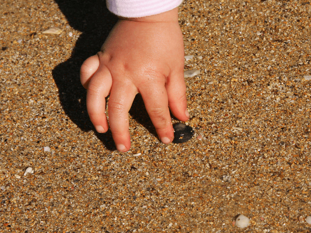 Small Objecty Why Toddlers Are Obsessed With Small Objects... - The Montessori Room