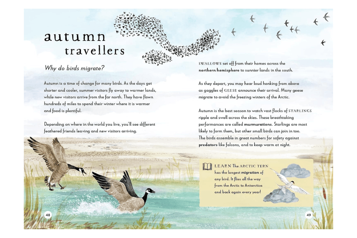 Penguin Random House A Field Guide to Autumn: Play and Learn in Nature by Gabby Dawnay [Hardcover]