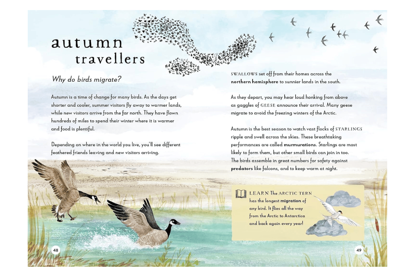Penguin Random House A Field Guide to Autumn: Play and Learn in Nature by Gabby Dawnay [Hardcover]