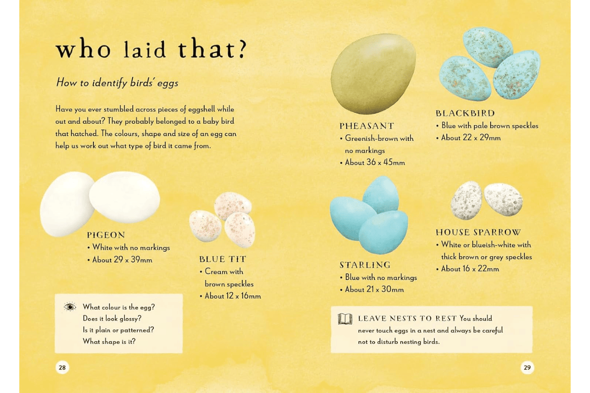 Penguin Random House Book A Field Guide to Spring: Play and Learn in Nature by Gabby Dawnay  [HARDCOVER]