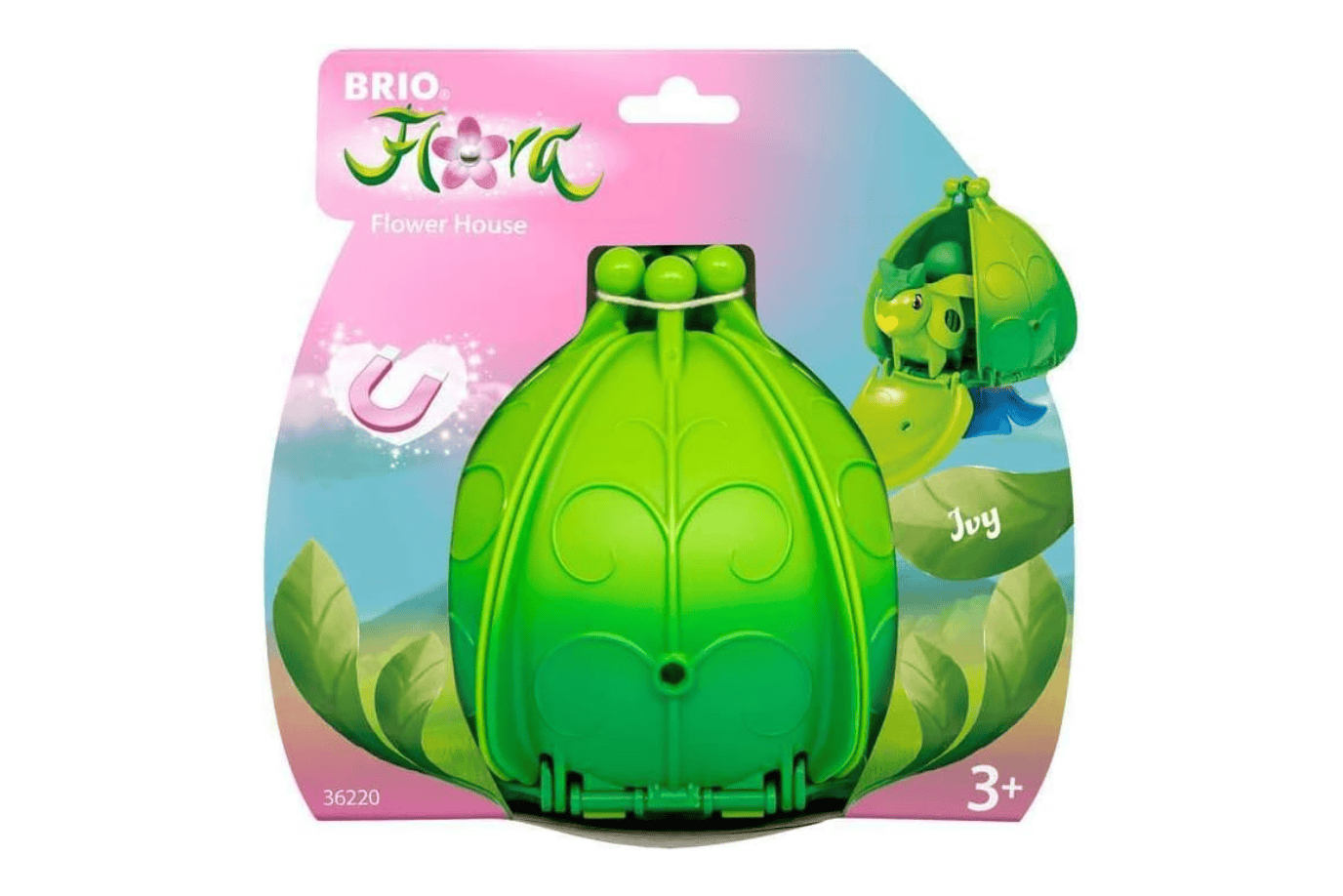 Tracy Stevenson Brio Flora: Flower House & Characters