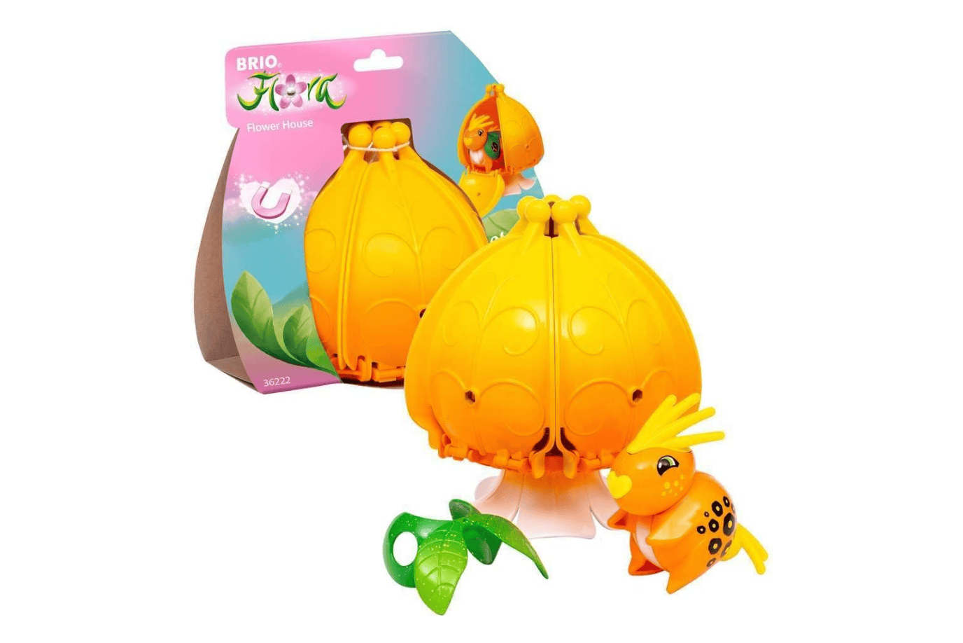 Tracy Stevenson Marigold Brio Flora: Flower House & Characters