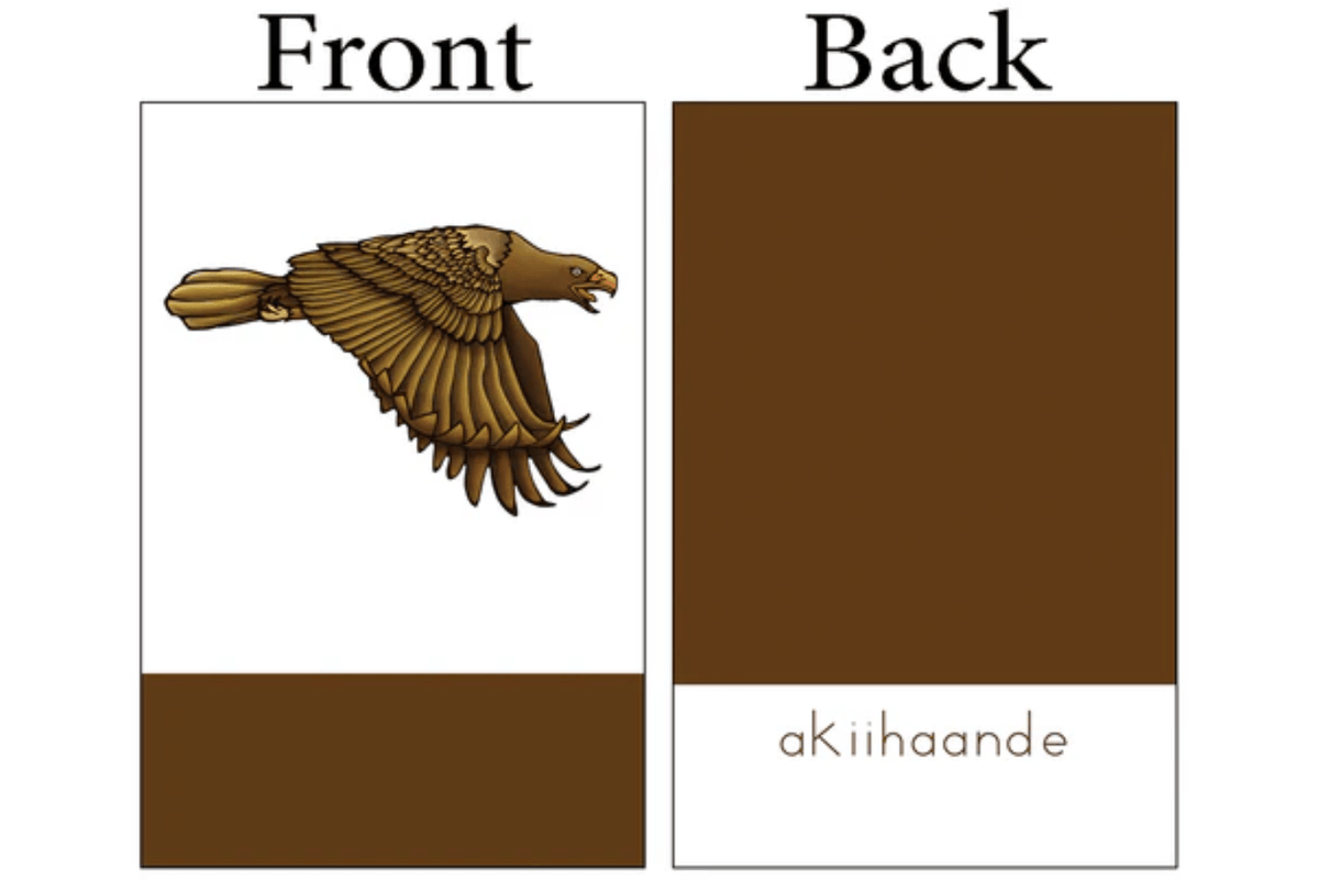 Indigenous Reflections Inc. Indigenous Reflections Language Cards