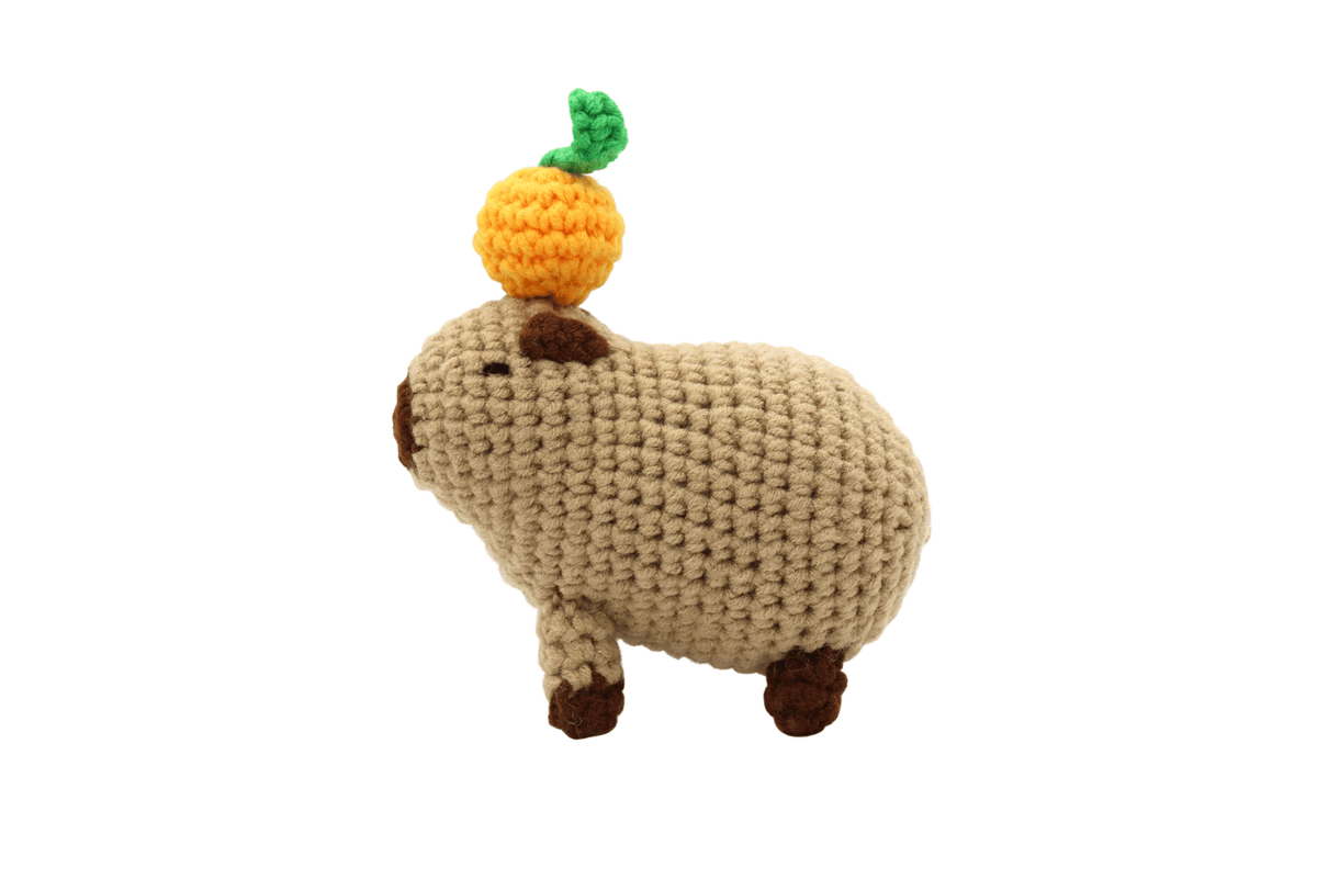 DIY Crochet Kits