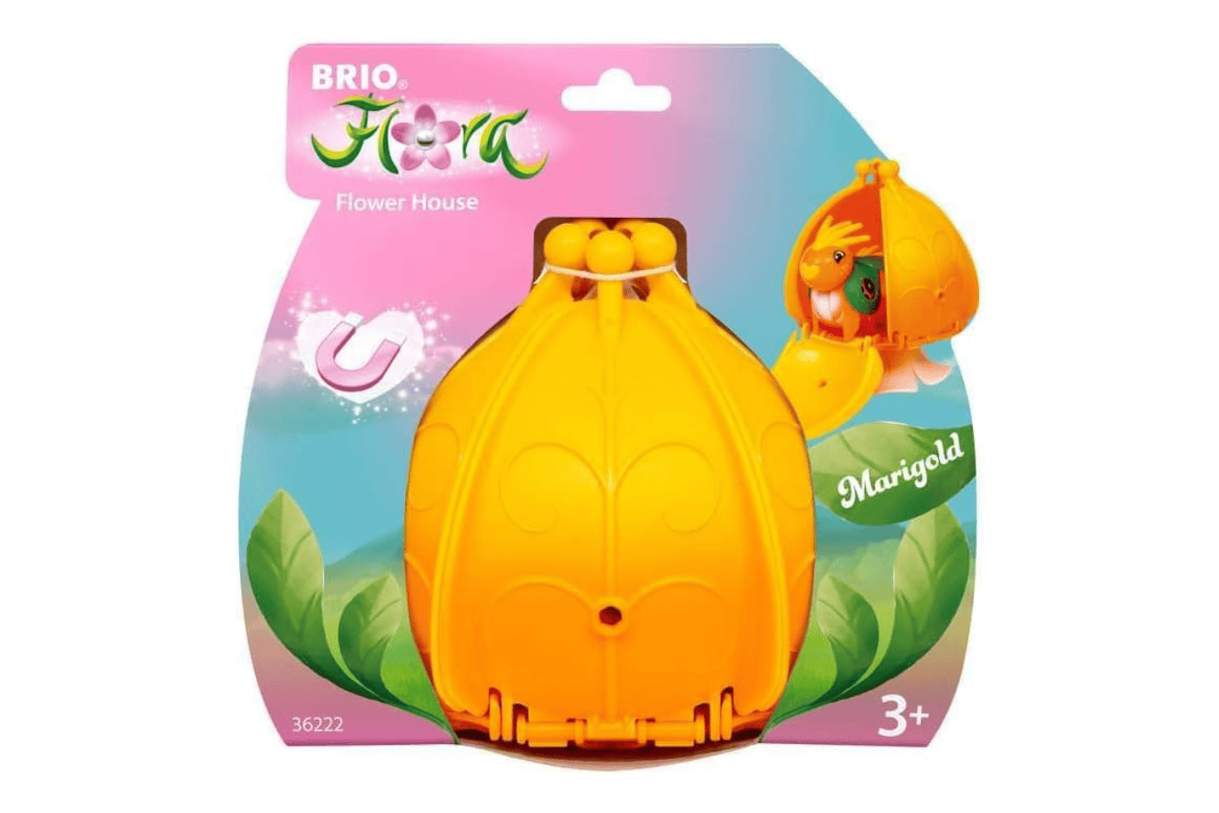 Tracy Stevenson Brio Flora: Flower House & Characters