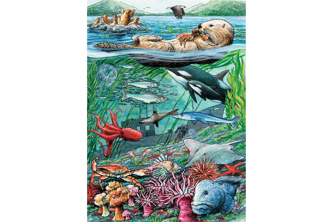 Outset Media Life on the Pacific Ocean 35 Piece Tray Puzzles (Multiple Themes)