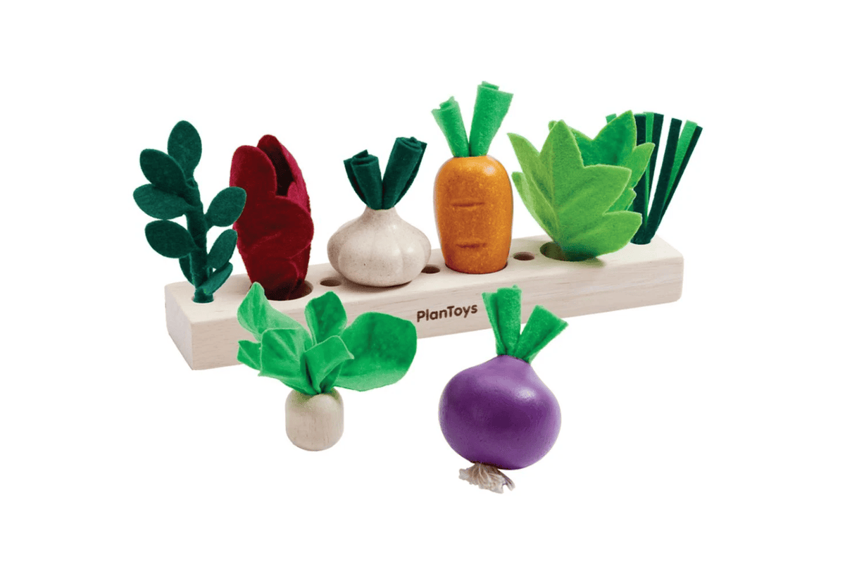 Fire the Imagination Plan Toys Build A Garden Seedling Patch