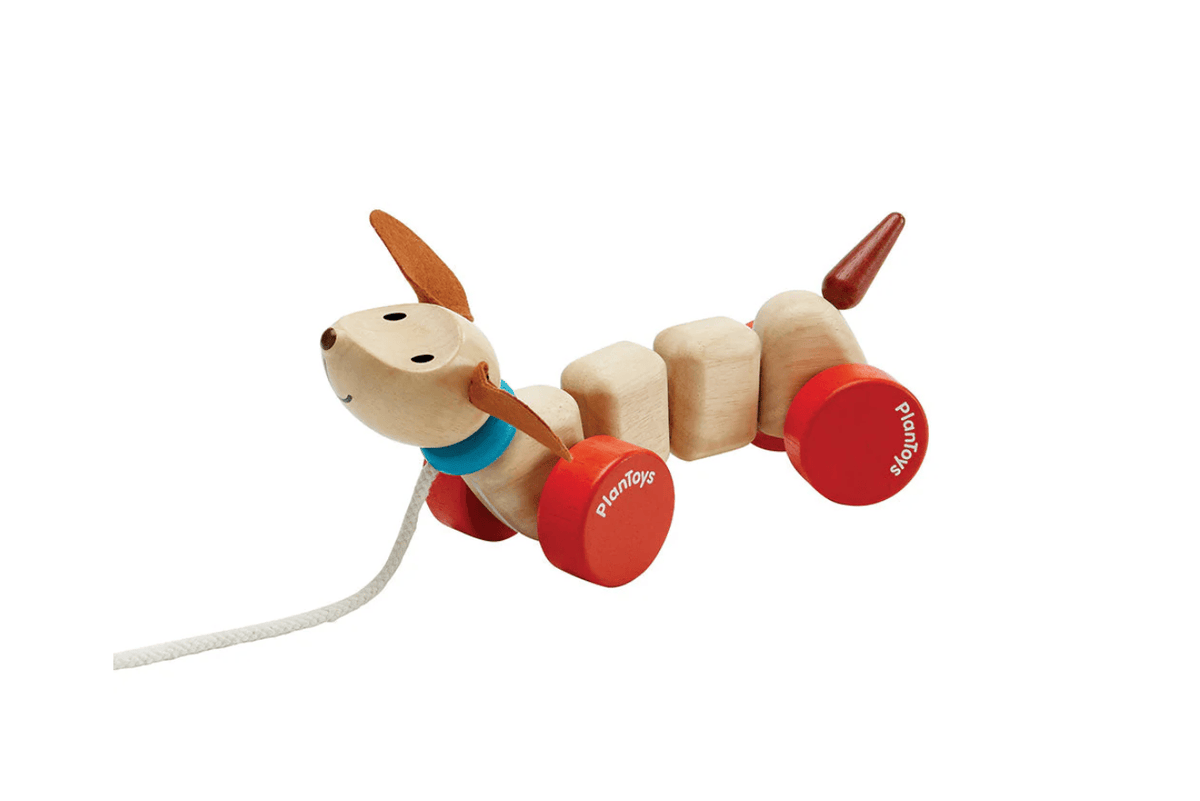 Fire The Imagination Plan Toys Pull Along Puppy