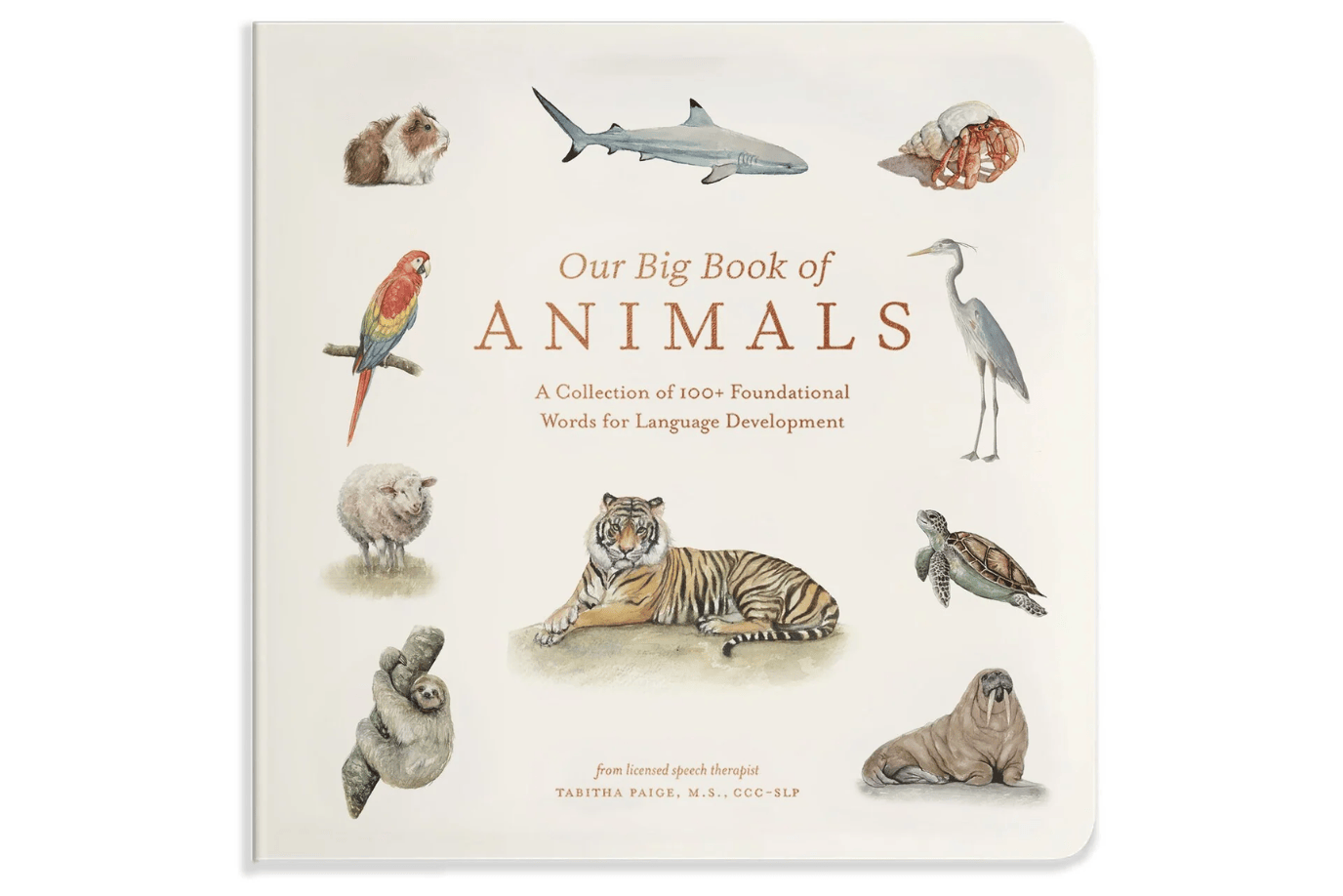 Penguin Random House Our Big Book Of Animals [BOARD BOOK]