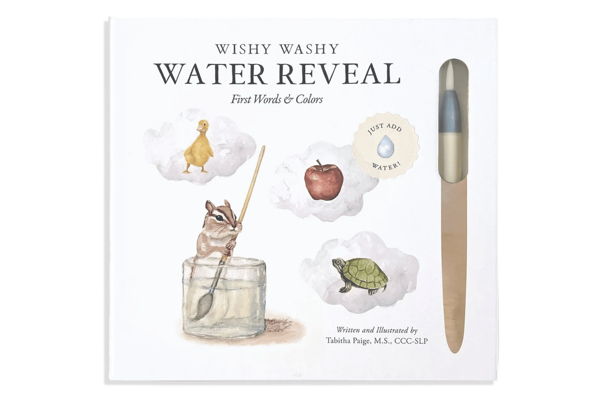 Wishy Washy: A Reusable Water Reveal Activity Book Teaching First Words and Colours