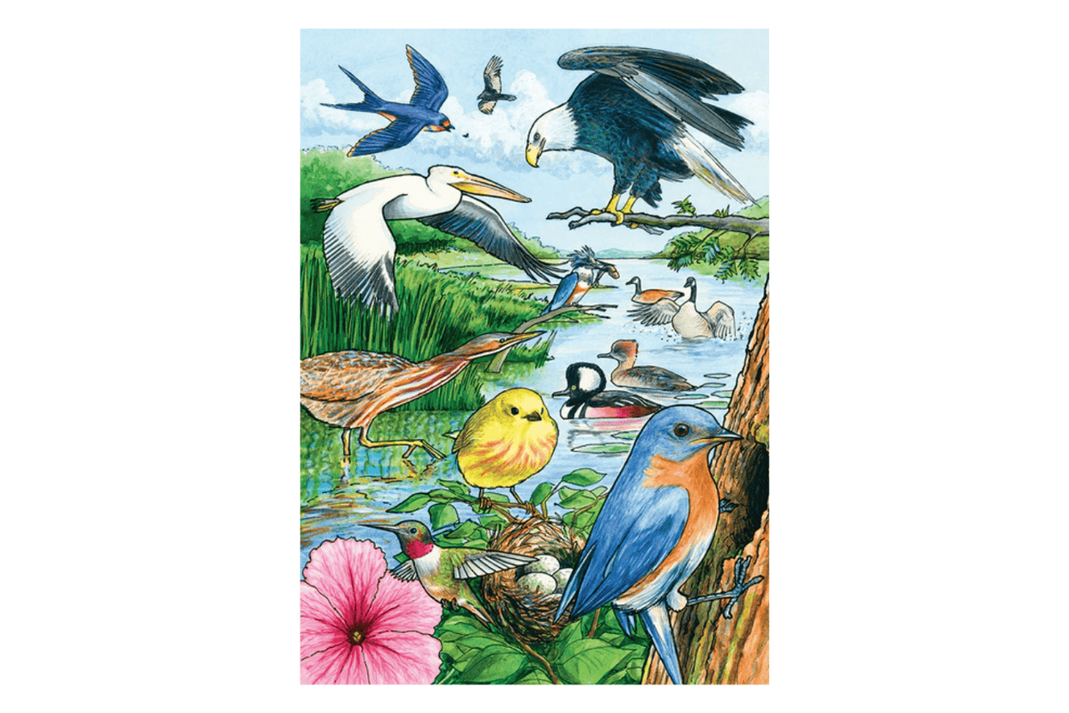 Outset Media North American Birds 35 Piece Tray Puzzles (Multiple Themes)