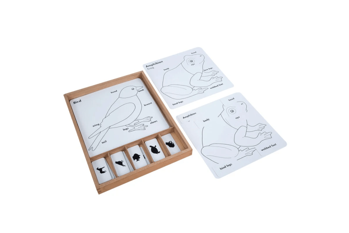 Adena Montessori Zoology Puzzle Activity Set (Control Cards &amp; Name Cards)