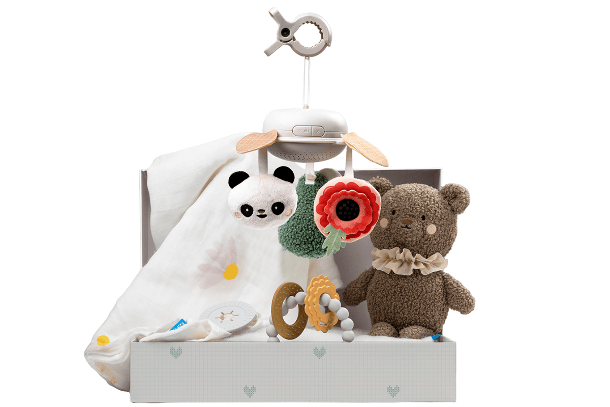Taf Toys - Luxury Newborn Kit