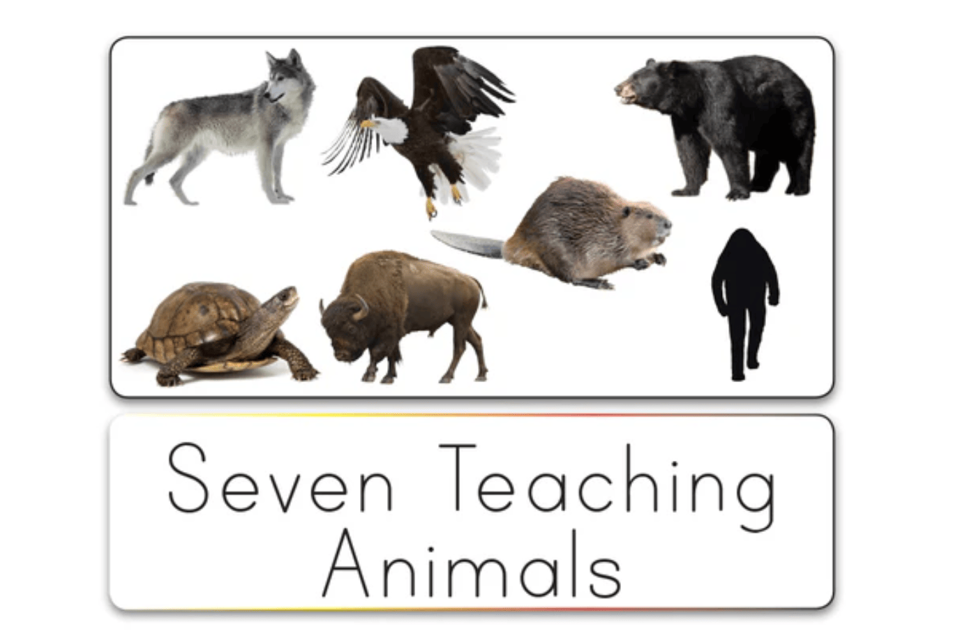 Indigenous Reflections Inc. Indigenous Picture/Language Card Sets
