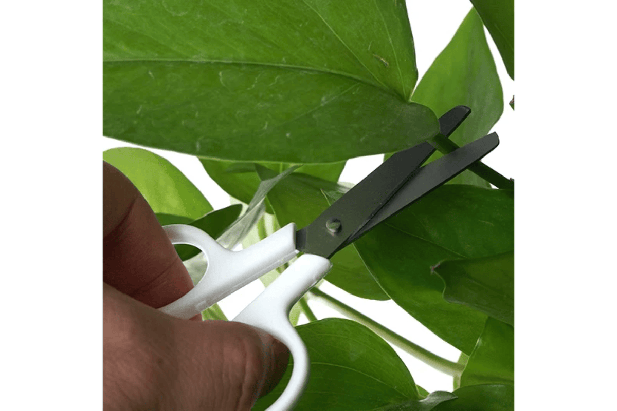 Children's Stainless Steel Scissors with Safety Cap