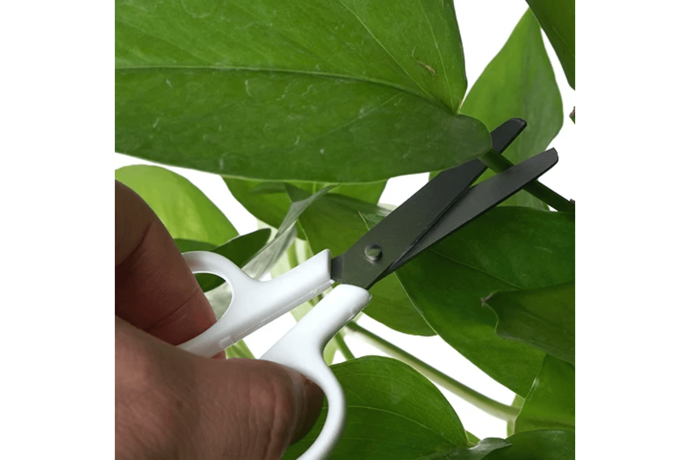 Children's Stainless Steel Scissors with Safety Cap