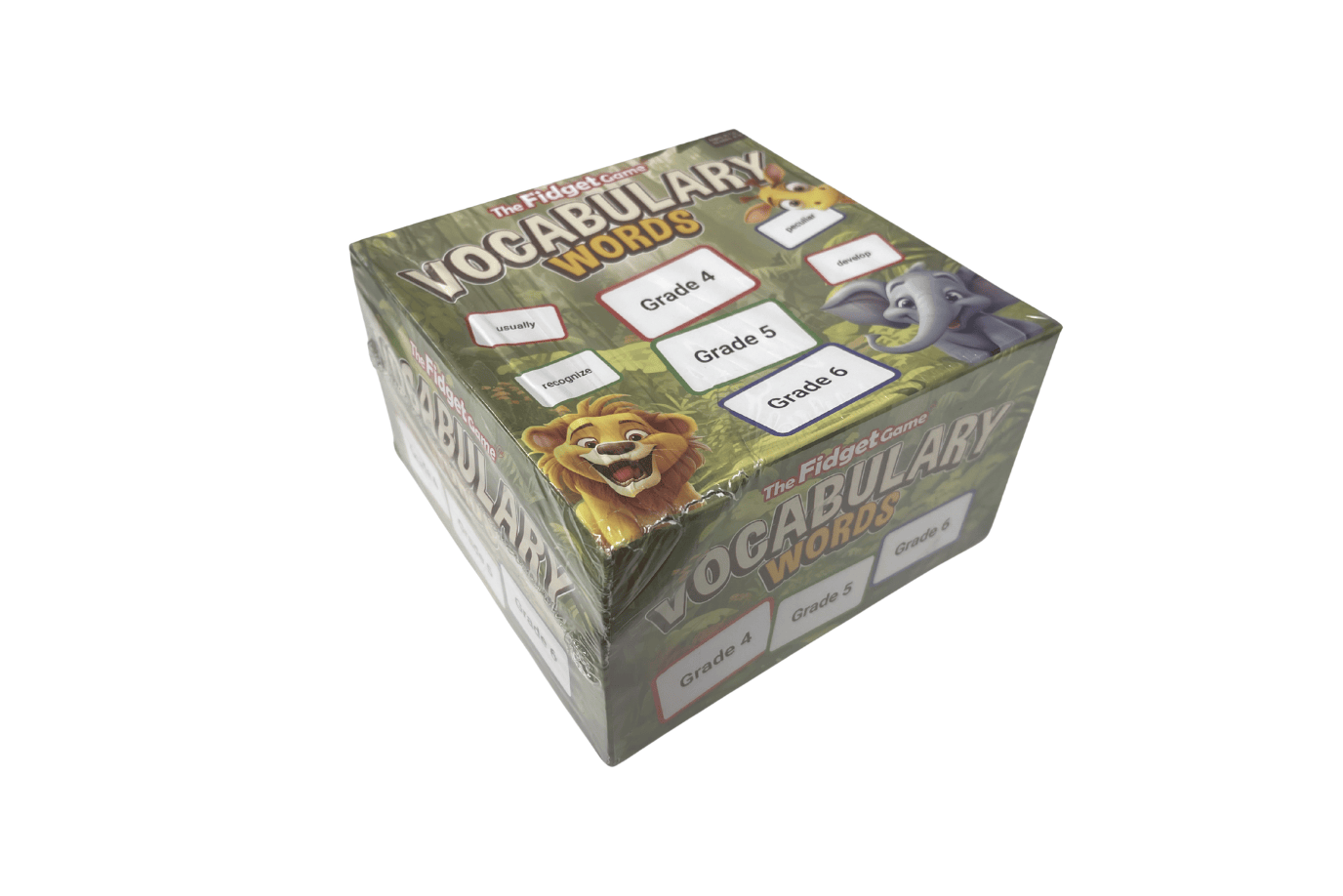 The Fidget Company Vocabulary Words [The Fidget Company] - Damaged Box - FINAL SALE