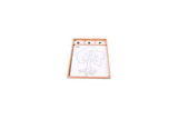 Botany Puzzle Activity Set (Control Cards & Name Cards)