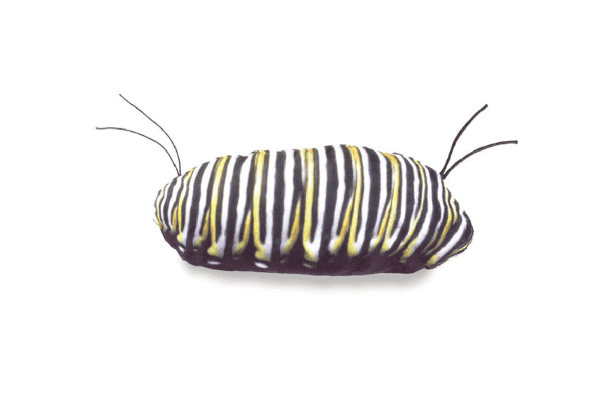 Fire The Imagination Monarch Butterfly Life Cycle Puppet