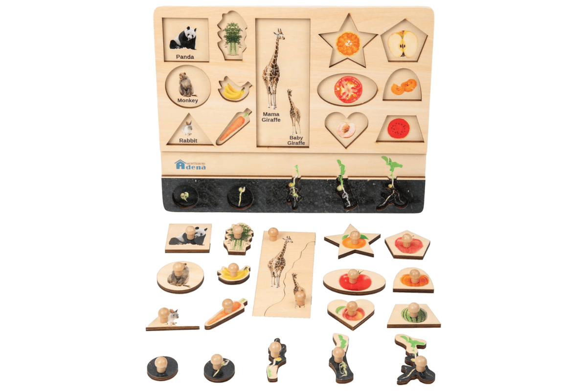 Adena Montessori Vocabulary Puzzle - Biology