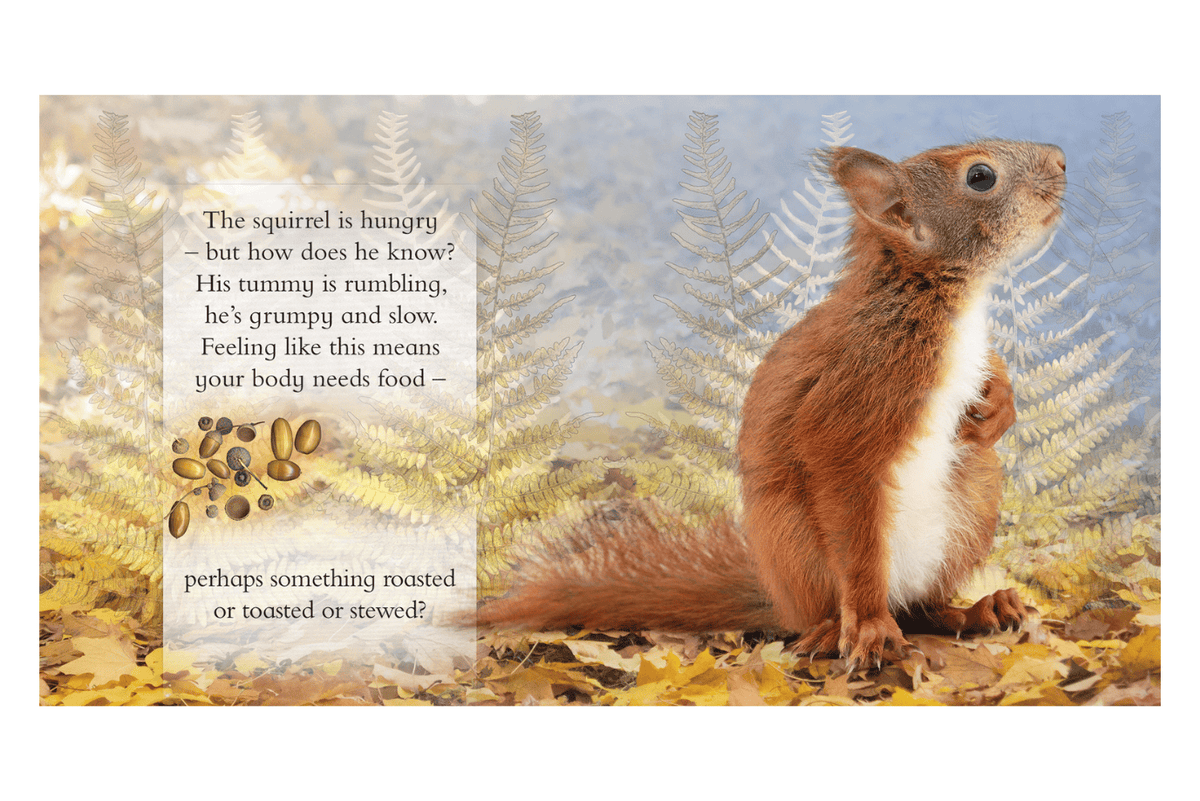 Firefly Books Feeling Hungry: Mealtimes Made Easy With Your Animal Friends