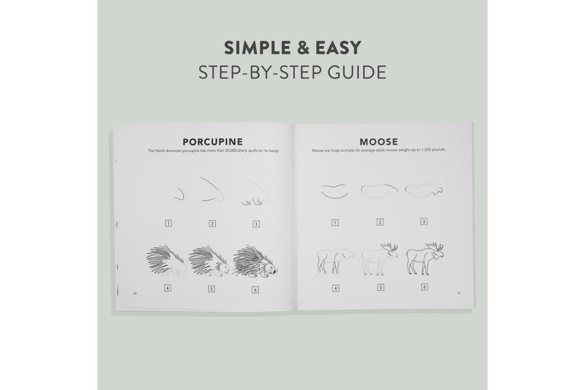 Penguin Random House Book How To Draw All The Things Books (Various Themes)