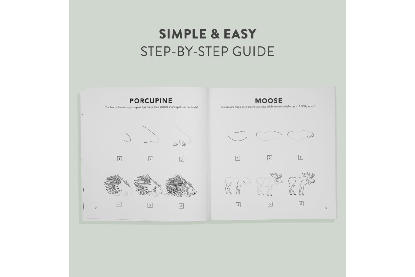 Penguin Random House Book How To Draw All The Things Books (Various Themes)