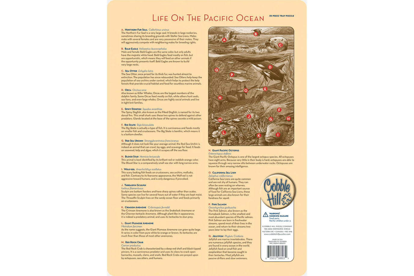 Outset Media 35 Piece Tray Puzzles (Multiple Themes)