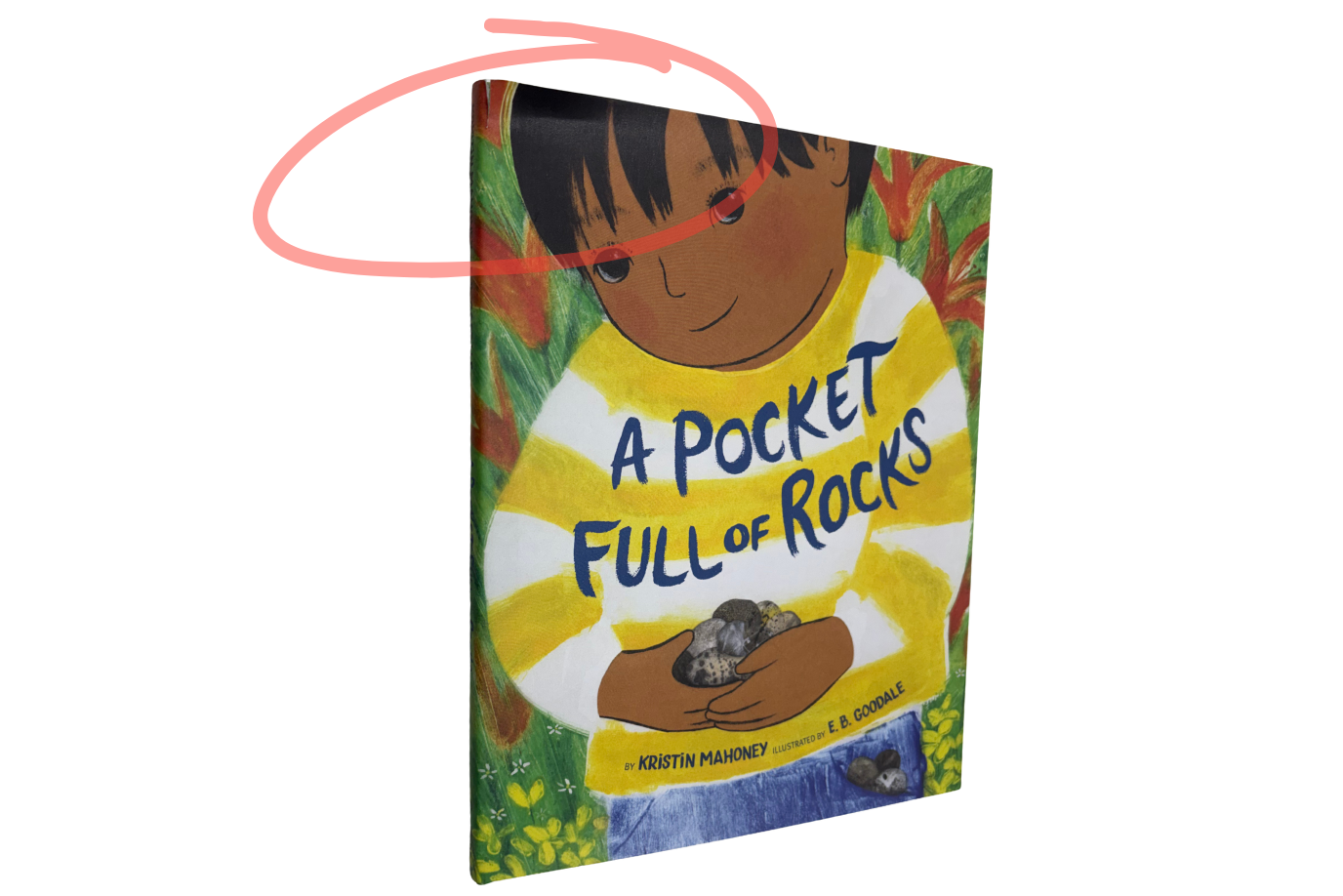 A Pocket Full of Rocks by Kristin Mahoney [Hardcover] - Ripped Cover - FINAL SALE