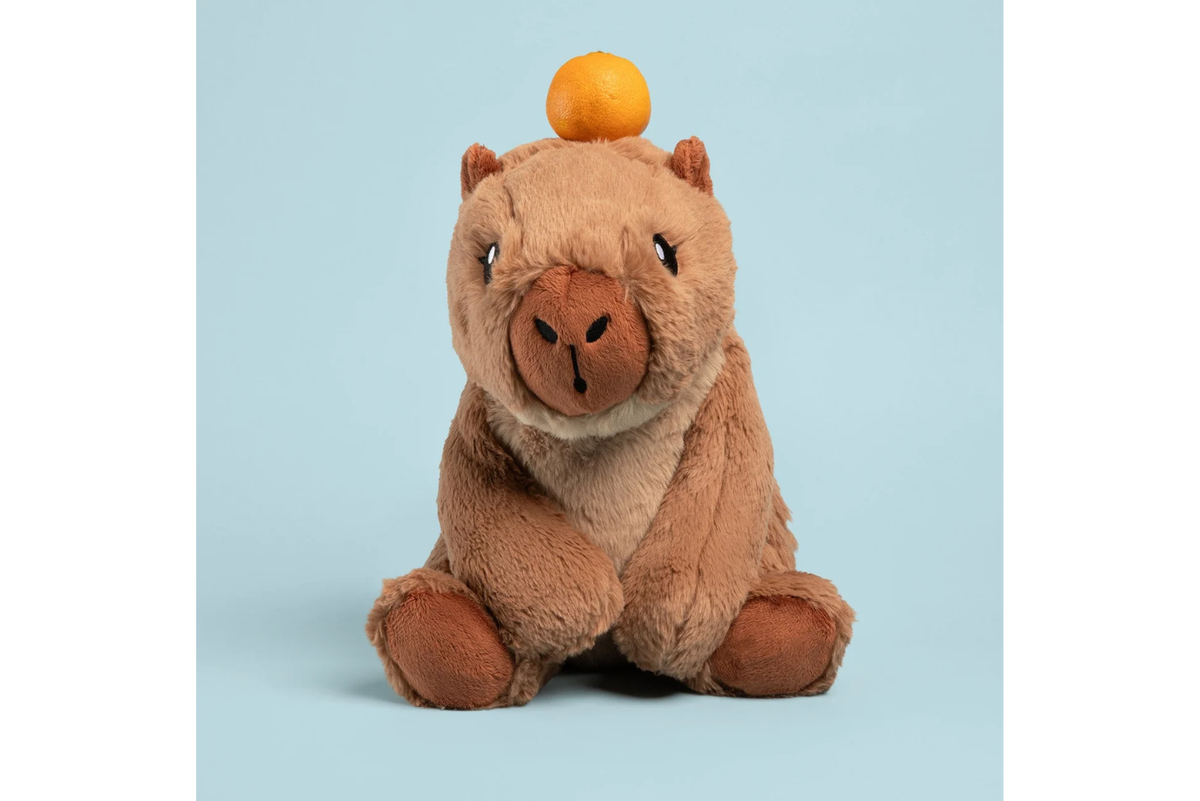 Hugimals - Cam The Capybara