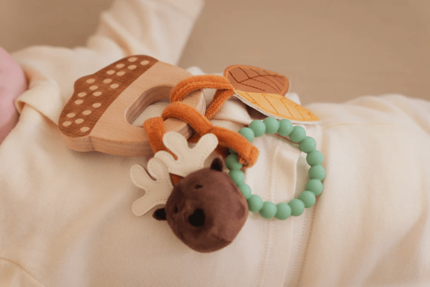 PJM Distributions Inc. Acorn Rattle