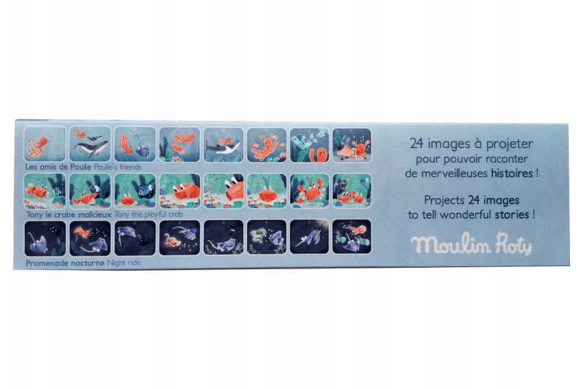 Fire The Imagination Moulin Roty Storybook Torch and Discs (Various Themes)