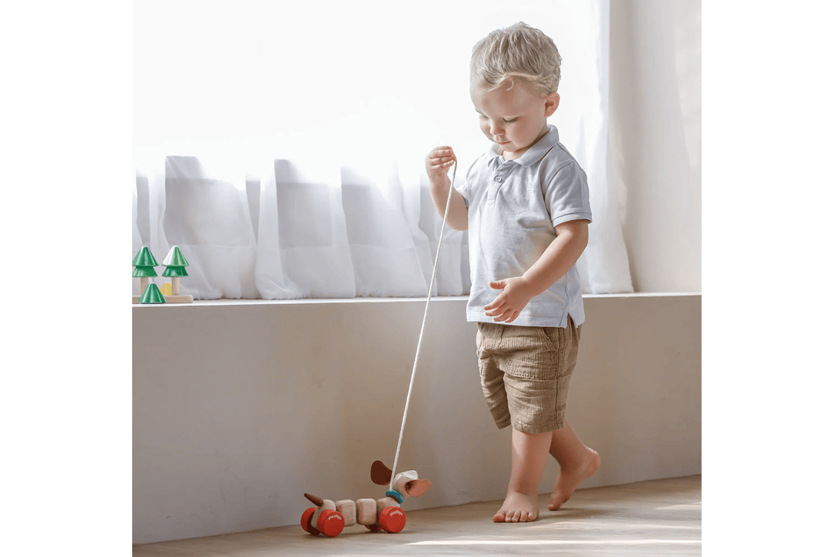 Fire The Imagination Plan Toys Pull Along Puppy