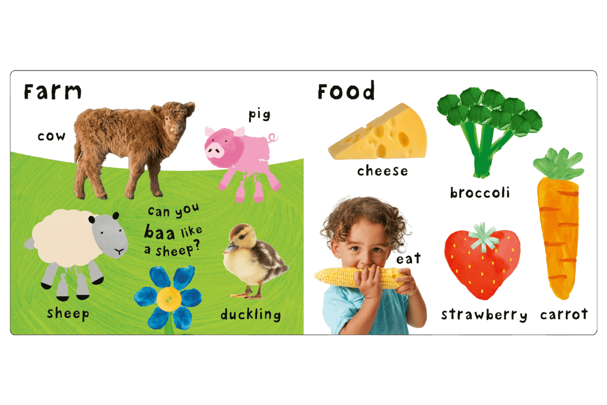 Raincoast Books See Touch Feel: First Words [BOARD BOOK]