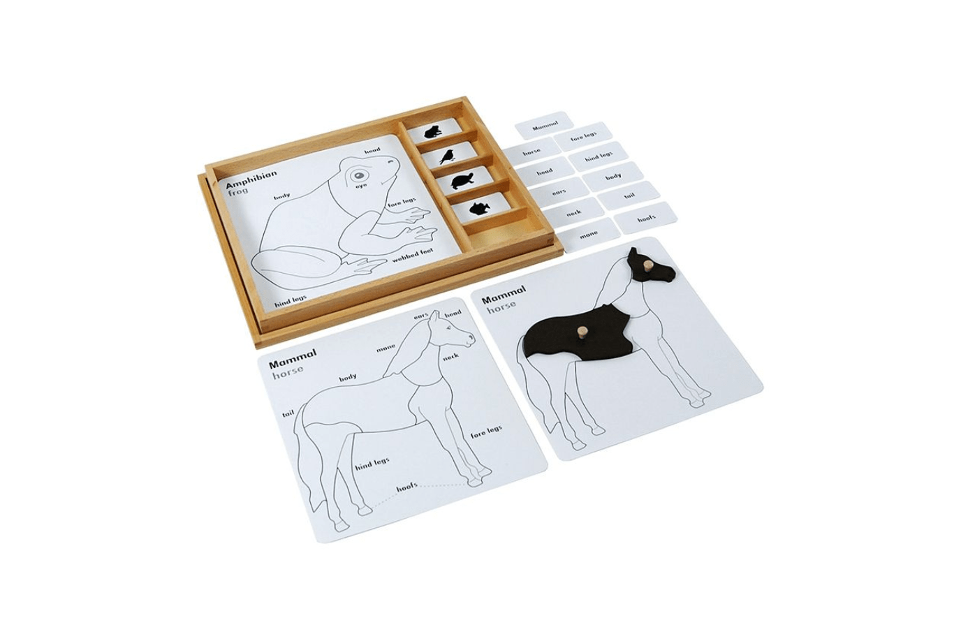 Adena Montessori Zoology Puzzle Activity Set (Control Cards & Name Cards)