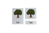 3-Part Language Cards - Parts of a Tree
