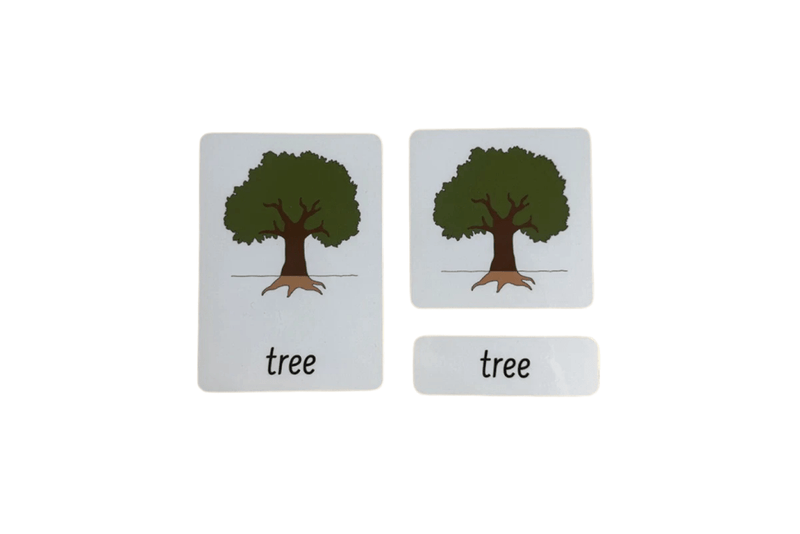 3-Part Language Cards - Parts of a Tree I The Montessori Room Toronto