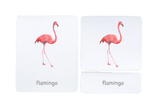 3-Part Language Cards (Watercolour) (Multiple Themes Available)