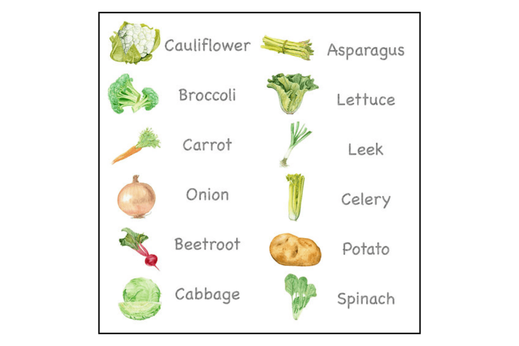 Nomenclature Cards (Multiple Themes Available)