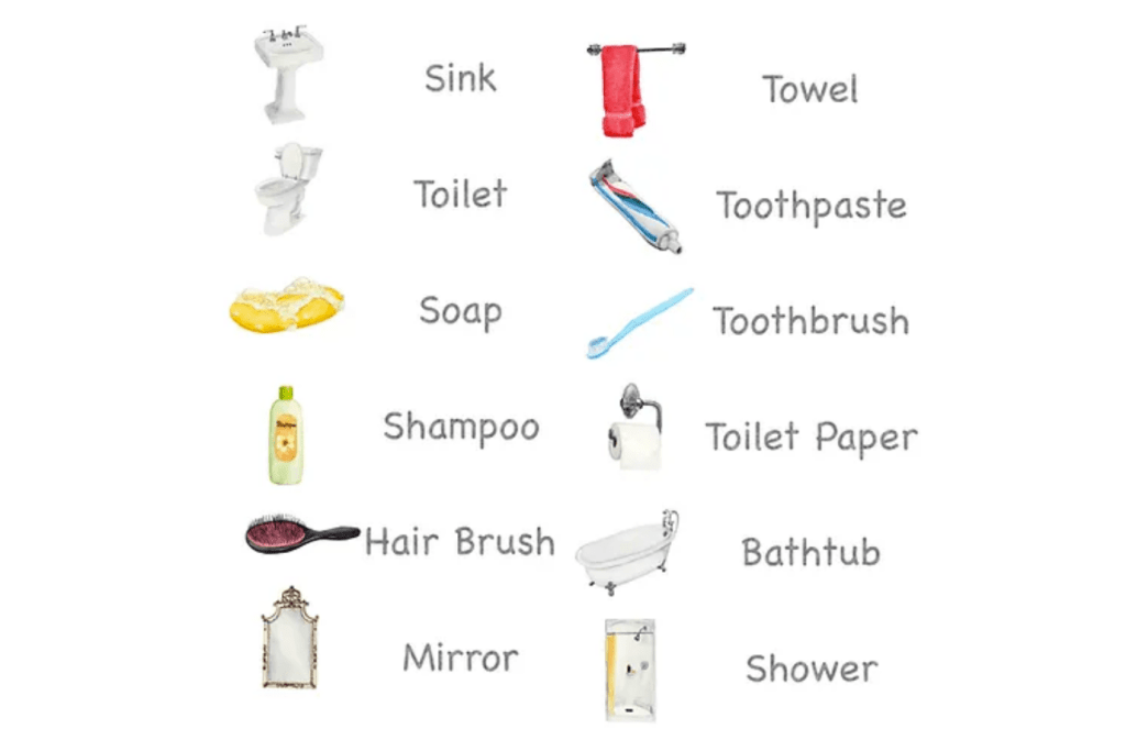 Nomenclature Cards (Multiple Themes Available)