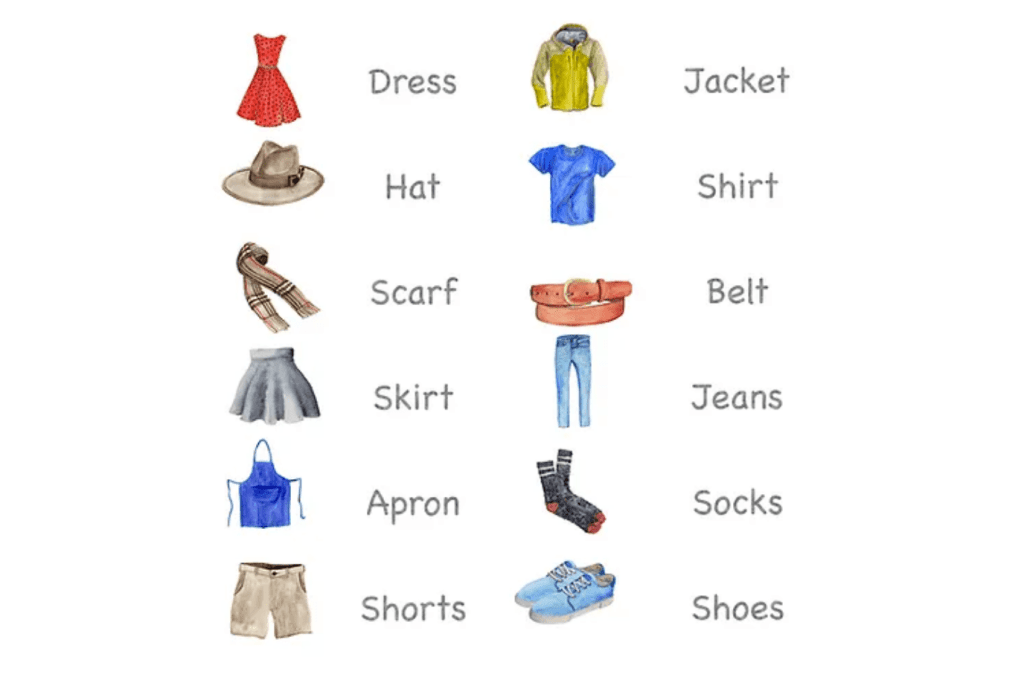 Nomenclature Cards (Multiple Themes Available)