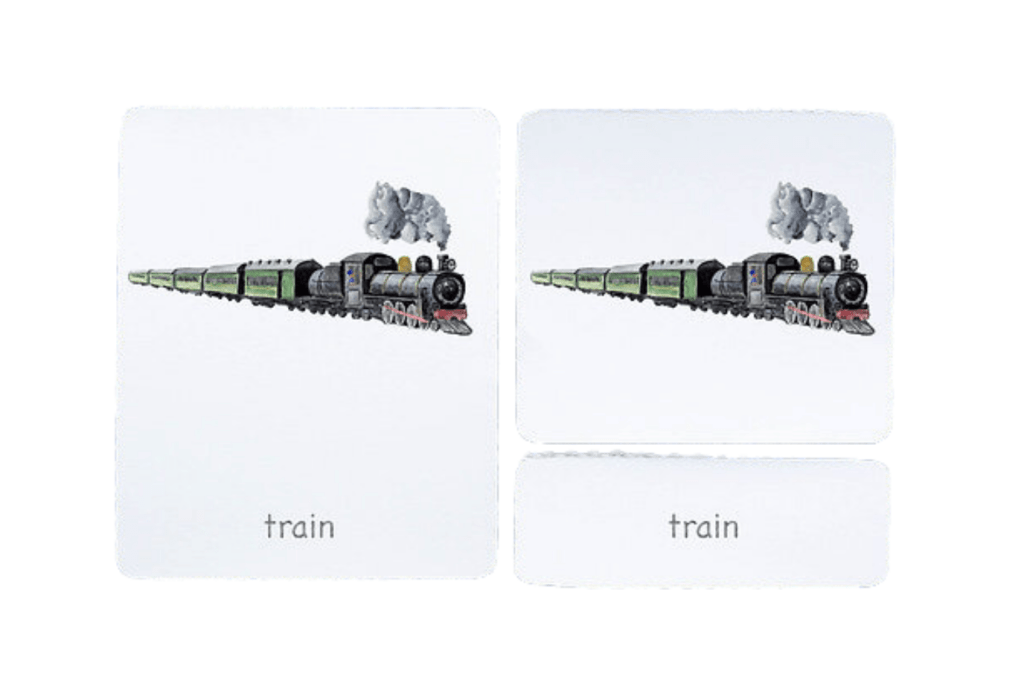 3-Part Language Cards (Watercolour) (Multiple Themes Available)