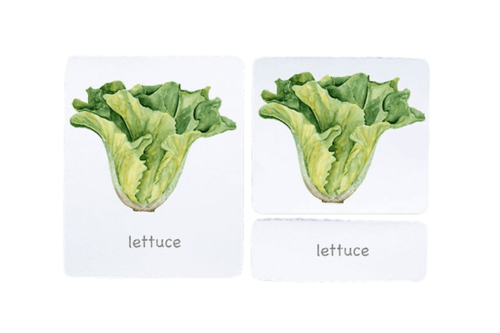 3-Part Language Cards (Watercolour) (Multiple Themes Available)