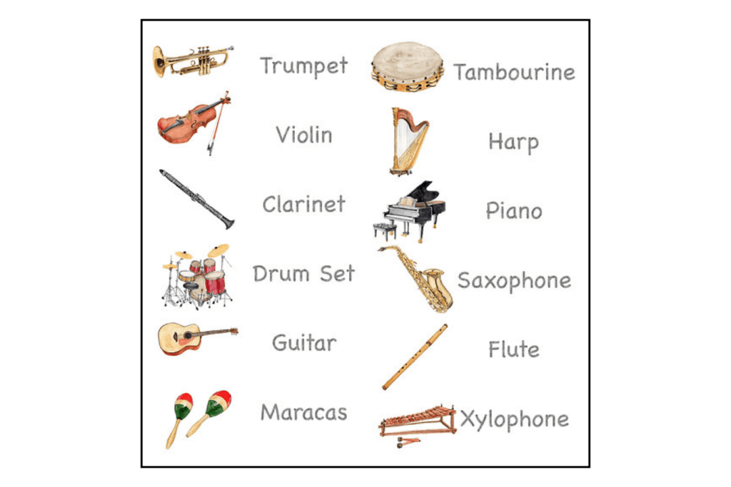 Nomenclature Cards (Multiple Themes Available)
